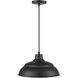 R Series 1 Light 14 inch Satin Black Indoor Pendant Ceiling Light